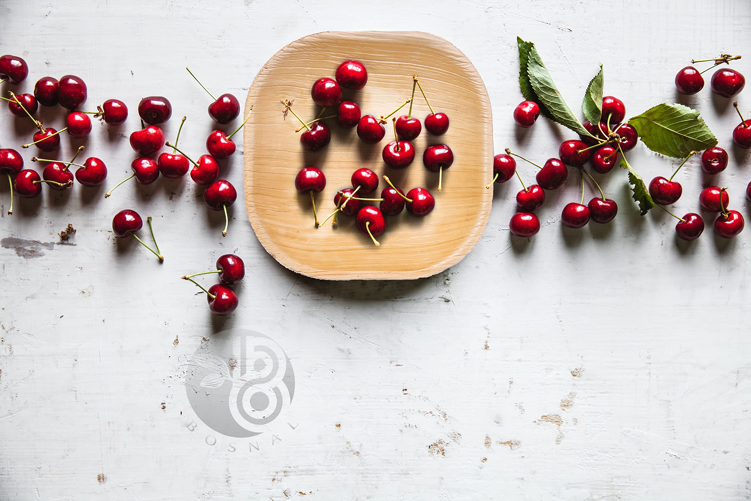 BOSNAL Palm Leaf Plates
